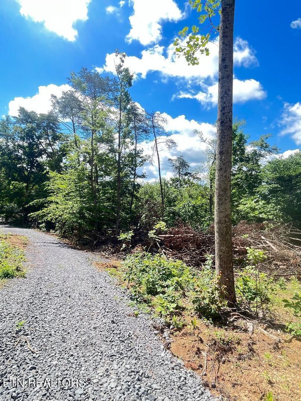 Photo of Dunville Gap Rd, Rutledge, TN 37861 (MLS # 1294823)