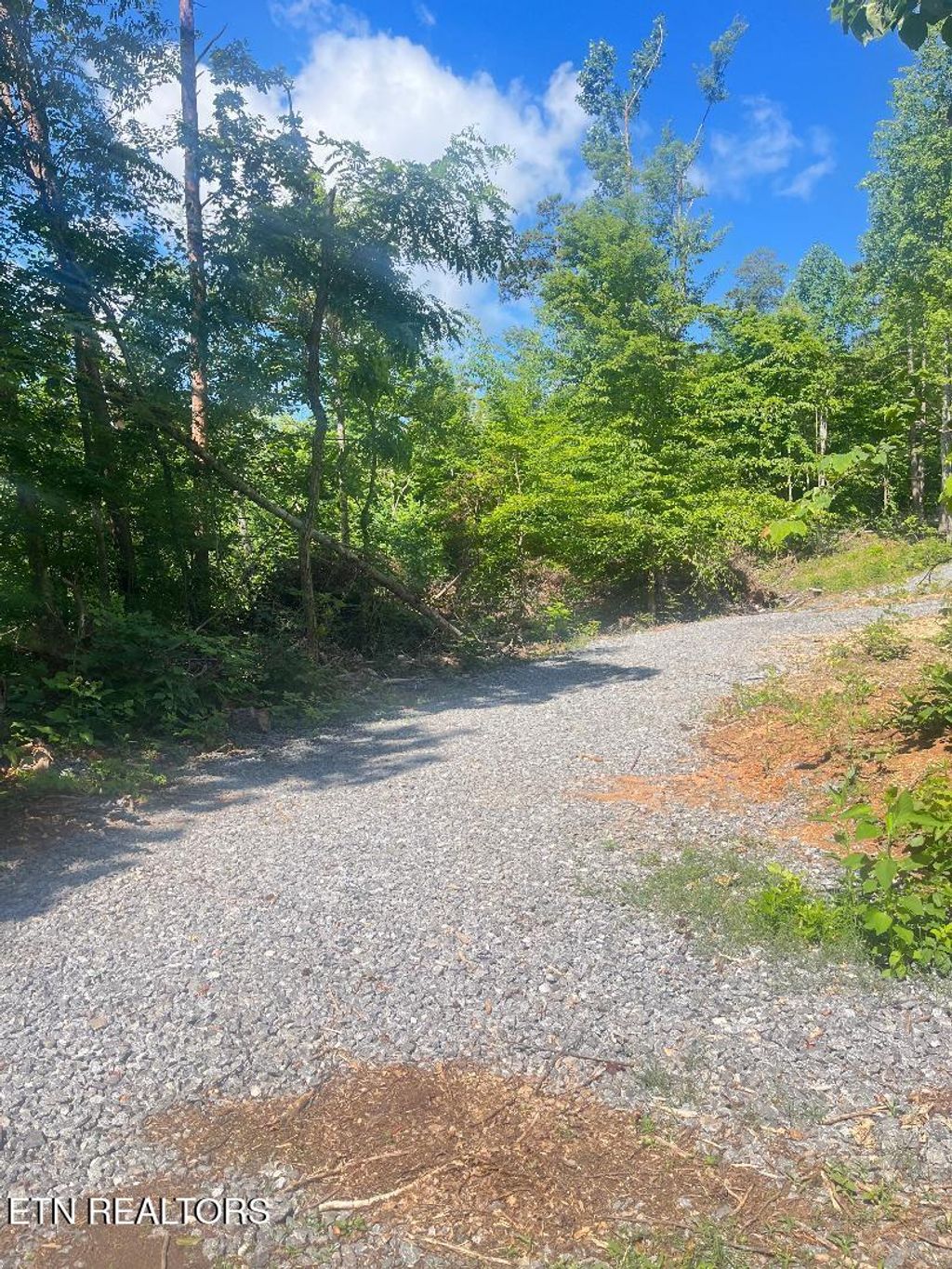 Photo of Dunville Gap Rd, Rutledge, TN 37861 (MLS # 1294823)