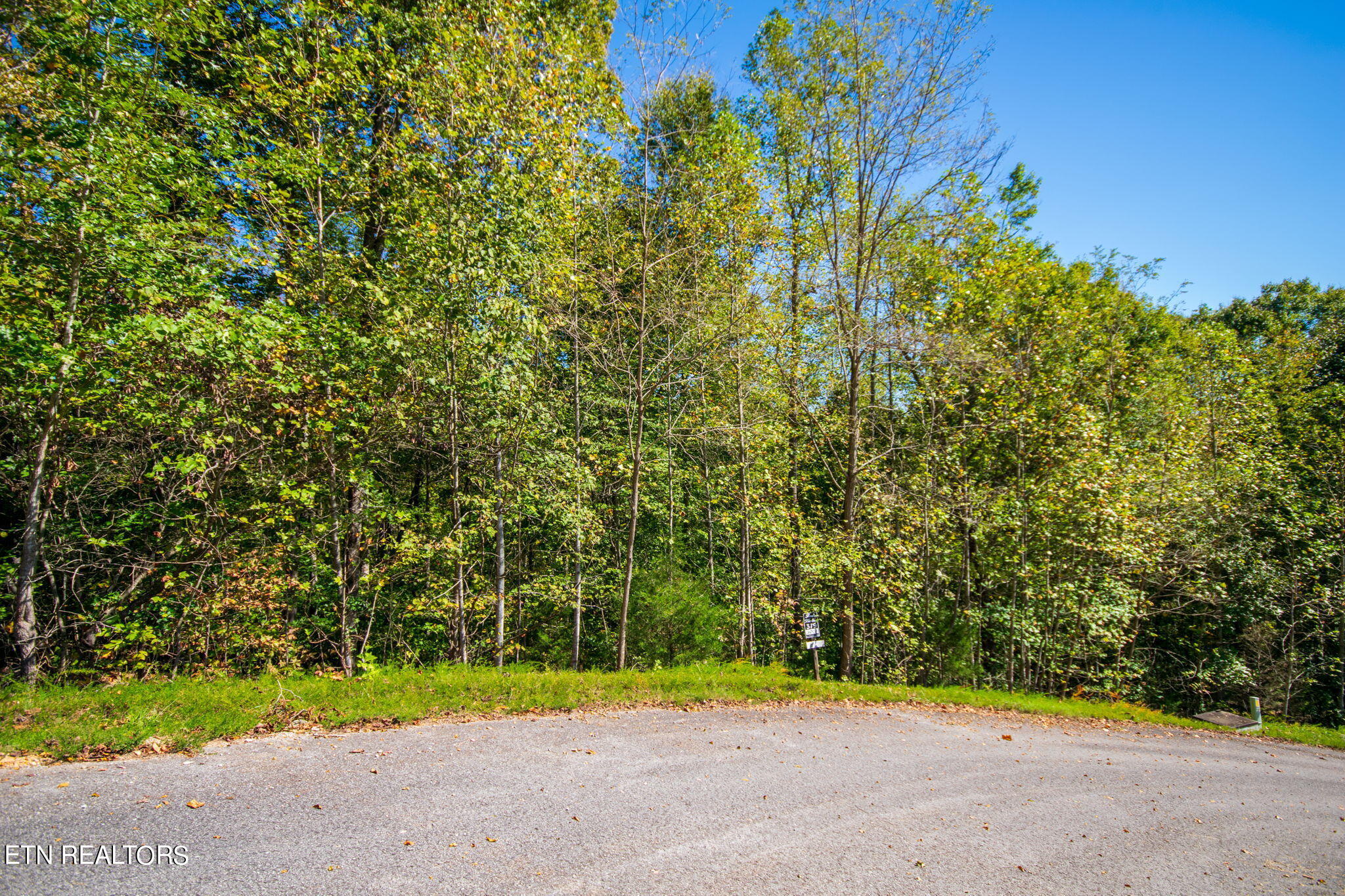 New Tazewell, Tennessee 37825, United States, ,Land,Active,38411