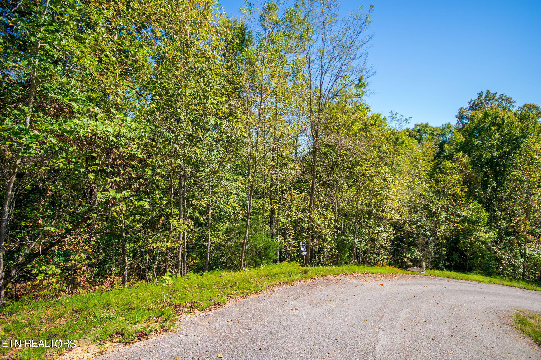 New Tazewell, Tennessee 37825, United States, ,Land,Active,38411