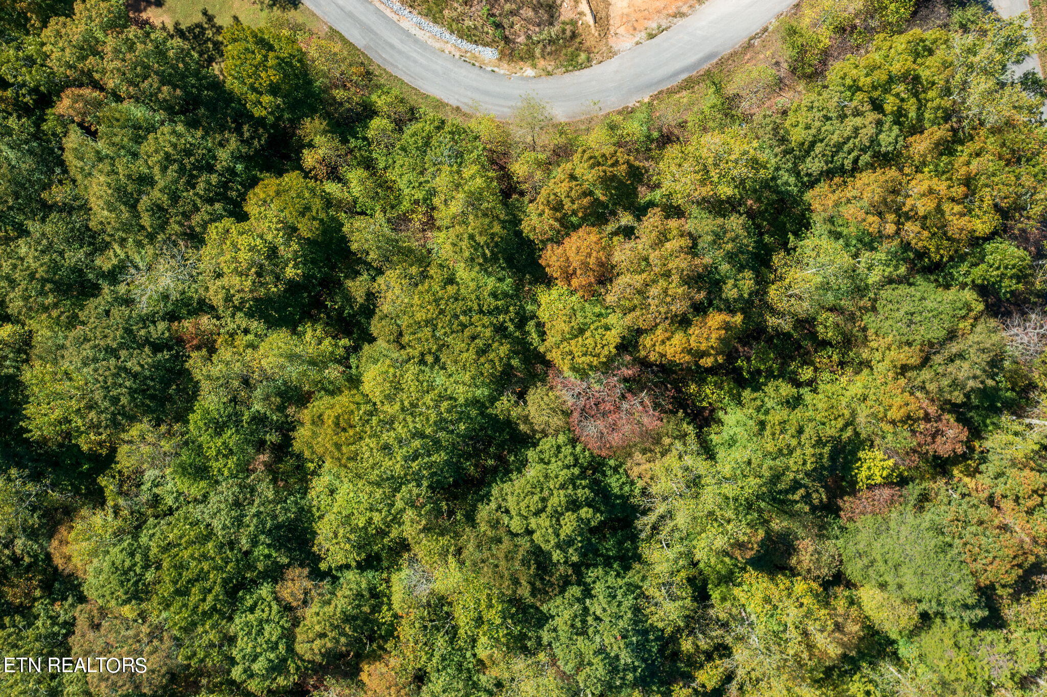 New Tazewell, Tennessee 37825, United States, ,Land,Active,38411