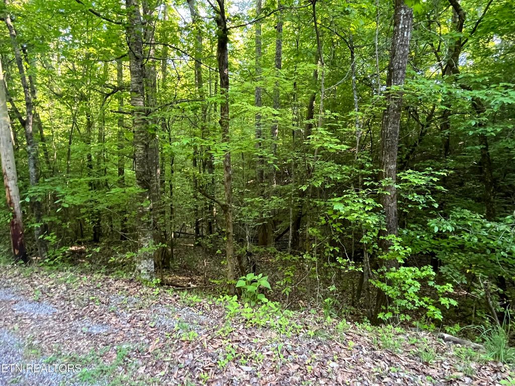 Photo of 336342 Omega Drive, Spring City, TN 37381 (MLS # 1261386)