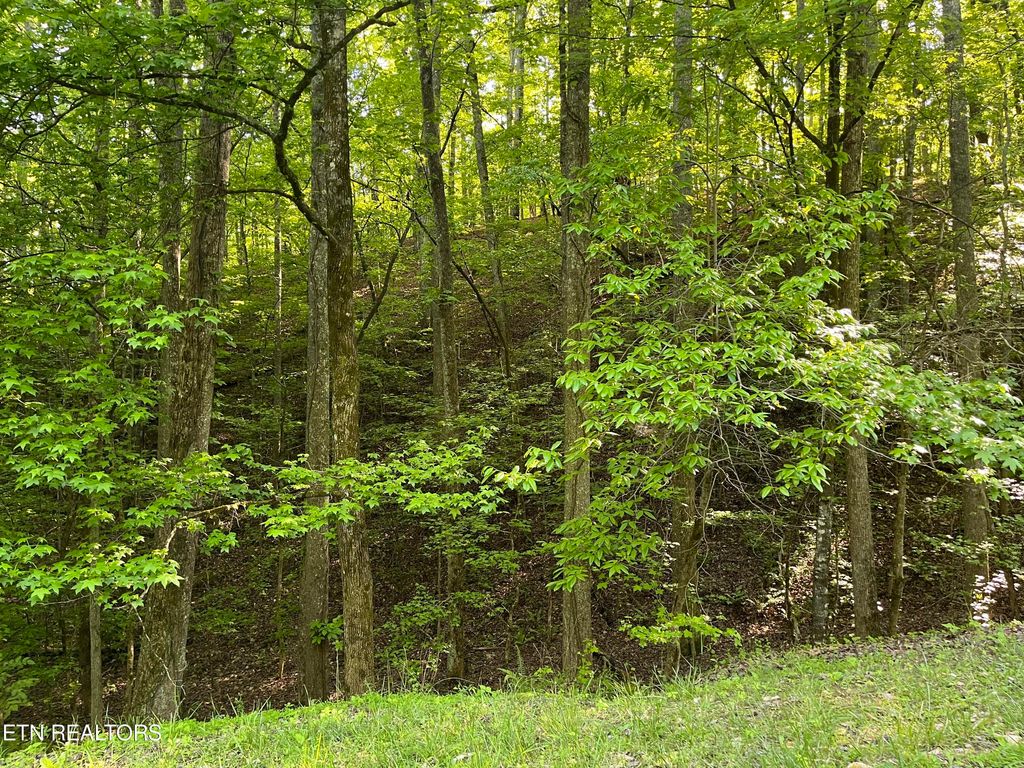 Photo of 336342 Omega Drive, Spring City, TN 37381 (MLS # 1261386)