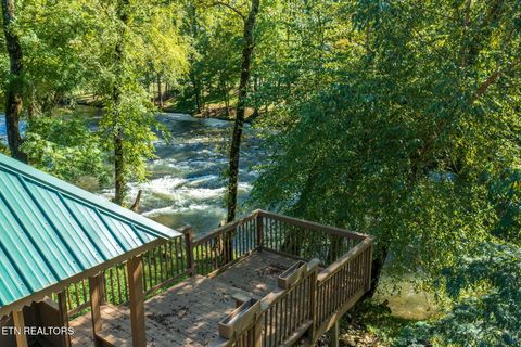 2485 Red Bank Rd Sevierville TN 37876