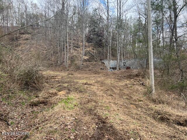 Photo of 3071 Mica Way, Cosby, TN 37722 (MLS # 1358830)