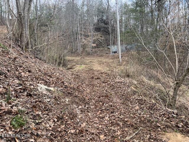 Photo of 3071 Mica Way, Cosby, TN 37722 (MLS # 1358830)