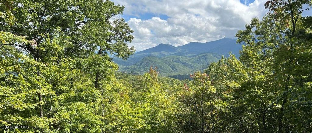 Photo of Oakley Heights Rd, Gatlinburg, TN 37738 (MLS # 1318458)