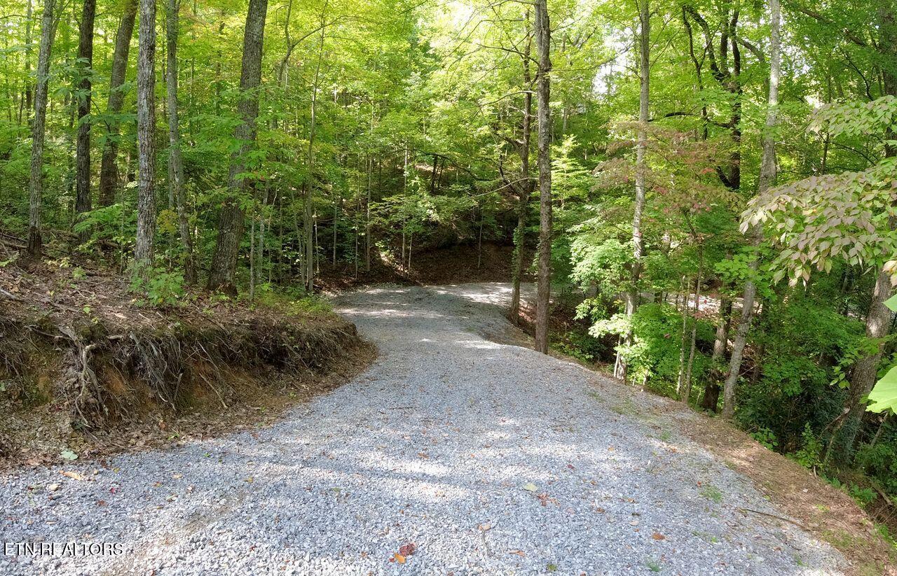 Oakley Heights Rd