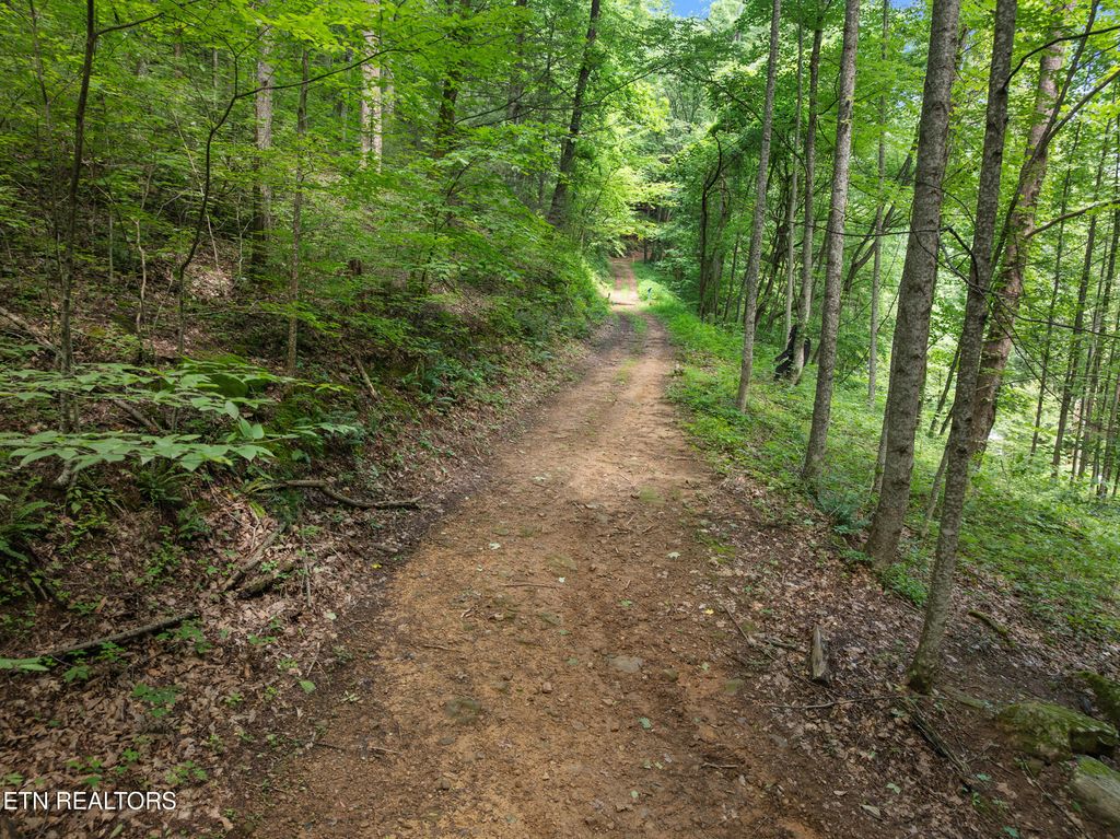 Photo of 2792 Happy Hollow Rd, Sevierville, TN 37862 (MLS # 1325258)