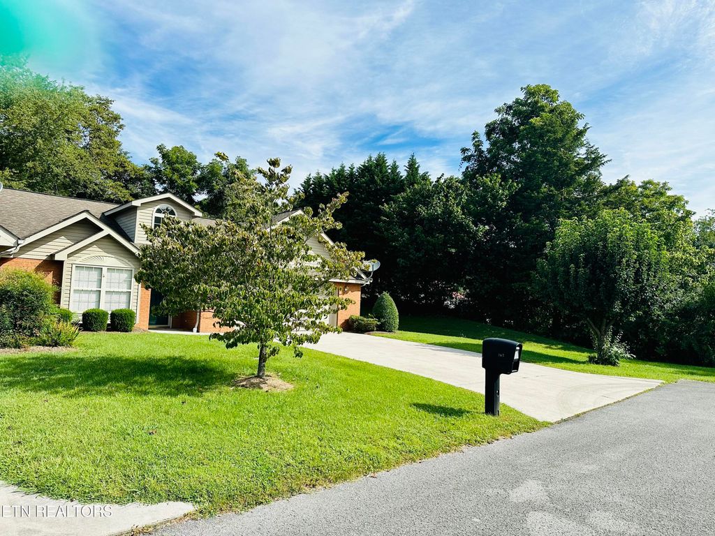 Photo of 163 CREED WAY Way, New Tazewell, TN 37825 (MLS # 1238412)