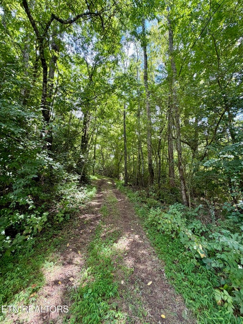 Tiny photo for 119 Springhouse Rd, Powell, TN 37849 (MLS # 1348216)