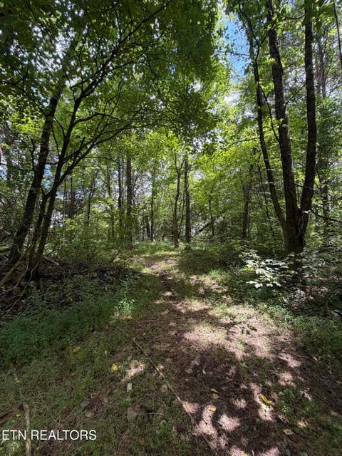Tiny photo for 119 Springhouse Rd, Powell, TN 37849 (MLS # 1348216)