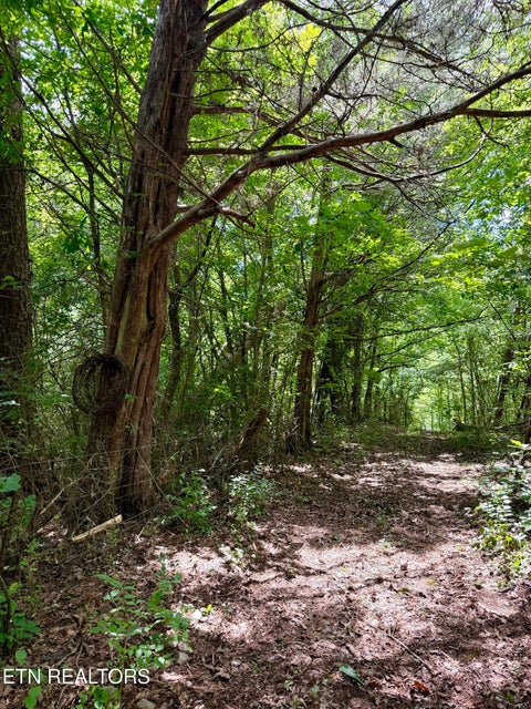 Tiny photo for 119 Springhouse Rd, Powell, TN 37849 (MLS # 1348216)