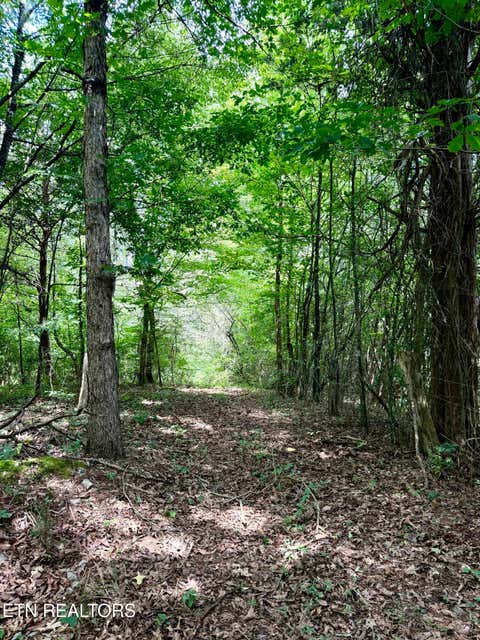 Tiny photo for 119 Springhouse Rd, Powell, TN 37849 (MLS # 1348216)