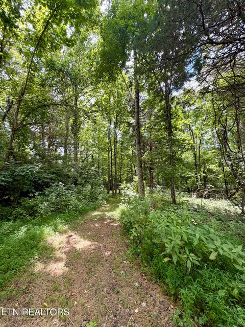 Tiny photo for 119 Springhouse Rd, Powell, TN 37849 (MLS # 1348216)
