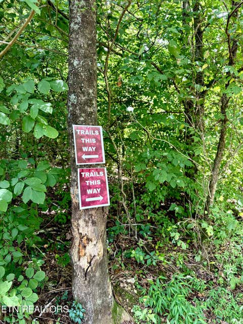 Tiny photo for 119 Springhouse Rd, Powell, TN 37849 (MLS # 1348216)