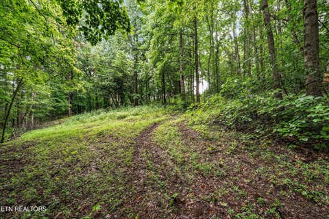 Tiny photo for 119 Springhouse Rd, Powell, TN 37849 (MLS # 1348216)