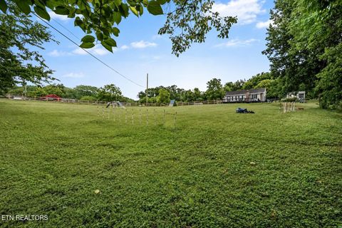 Tiny photo for 119 Springhouse Rd, Powell, TN 37849 (MLS # 1348216)