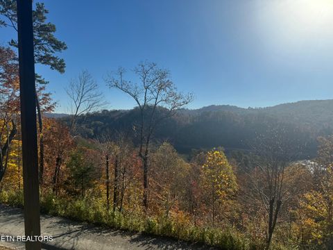 Photo of 1738 Mountain Shores Rd, New Tazewell, TN 37825 (MLS # 1327832)