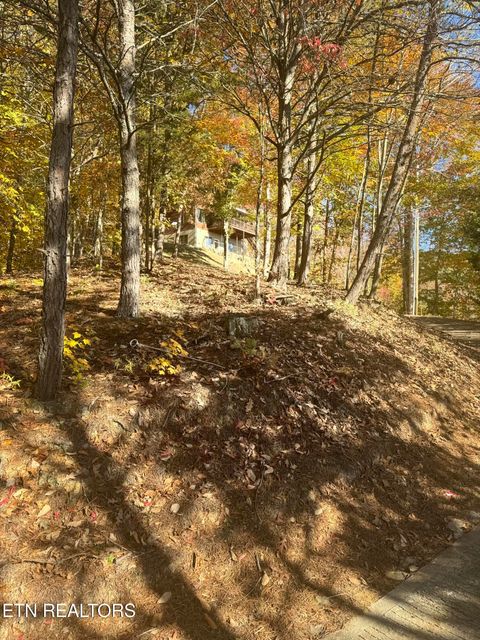 Tiny photo for 1738 Mountain Shores Rd, New Tazewell, TN 37825 (MLS # 1327832)