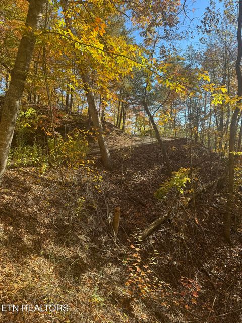 Tiny photo for 1738 Mountain Shores Rd, New Tazewell, TN 37825 (MLS # 1327832)