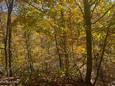 Tiny photo for 1738 Mountain Shores Rd, New Tazewell, TN 37825 (MLS # 1327832)