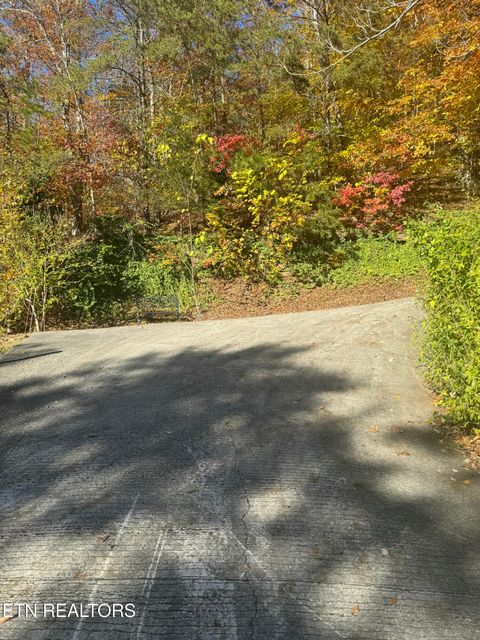 Tiny photo for 1738 Mountain Shores Rd, New Tazewell, TN 37825 (MLS # 1327832)