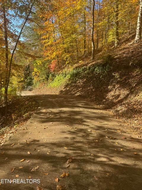 Tiny photo for 1738 Mountain Shores Rd, New Tazewell, TN 37825 (MLS # 1327832)