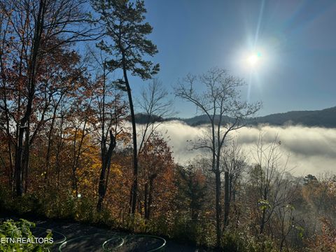 Tiny photo for 1738 Mountain Shores Rd, New Tazewell, TN 37825 (MLS # 1327832)