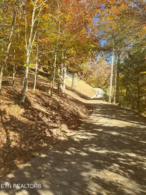 Tiny photo for 1738 Mountain Shores Rd, New Tazewell, TN 37825 (MLS # 1327832)