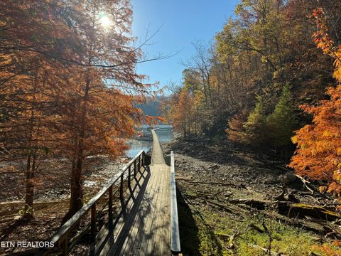 Tiny photo for 1738 Mountain Shores Rd, New Tazewell, TN 37825 (MLS # 1327832)