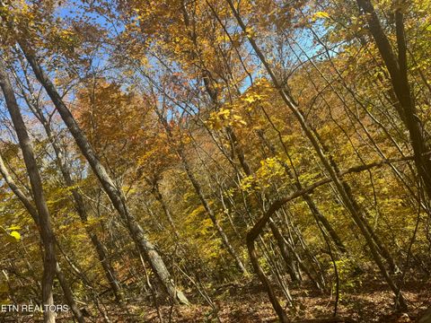 Tiny photo for 1738 Mountain Shores Rd, New Tazewell, TN 37825 (MLS # 1327832)