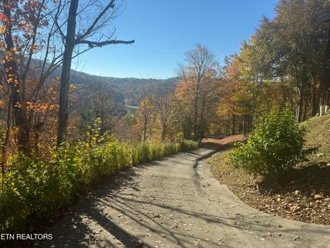 Tiny photo for 1738 Mountain Shores Rd, New Tazewell, TN 37825 (MLS # 1327832)