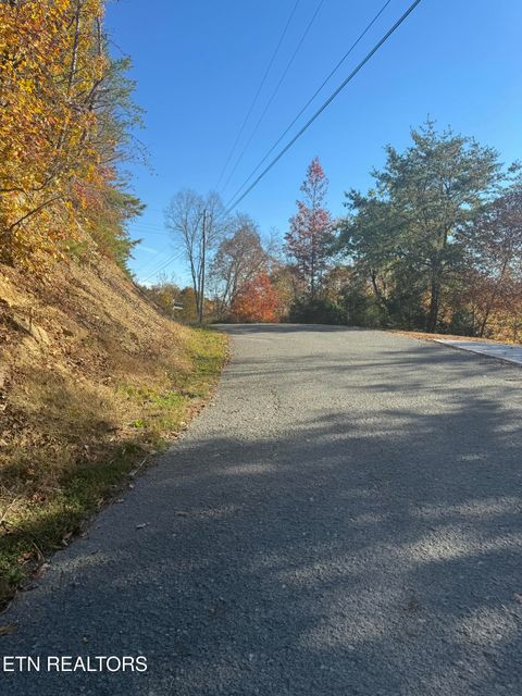 Tiny photo for 1738 Mountain Shores Rd, New Tazewell, TN 37825 (MLS # 1327832)