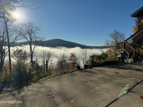 Tiny photo for 1738 Mountain Shores Rd, New Tazewell, TN 37825 (MLS # 1327832)