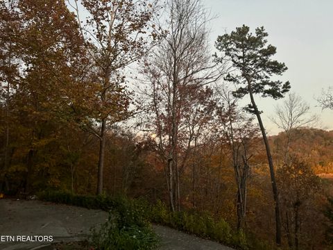 Tiny photo for 1738 Mountain Shores Rd, New Tazewell, TN 37825 (MLS # 1327832)