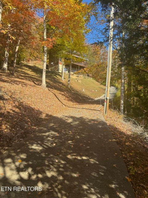 Tiny photo for 1738 Mountain Shores Rd, New Tazewell, TN 37825 (MLS # 1327832)