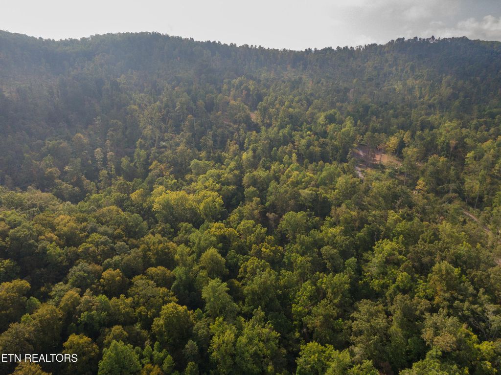 Photo of Lake Ln, New Tazewell, TN 37825 (MLS # 1241176)