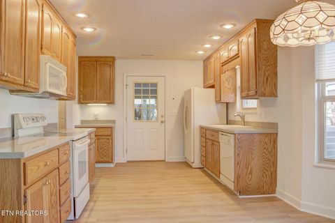 Tiny photo for 1023 Stokley Court, Dandridge, TN 37725 (MLS # 1335601)