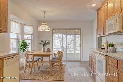 Tiny photo for 1023 Stokley Court, Dandridge, TN 37725 (MLS # 1335601)