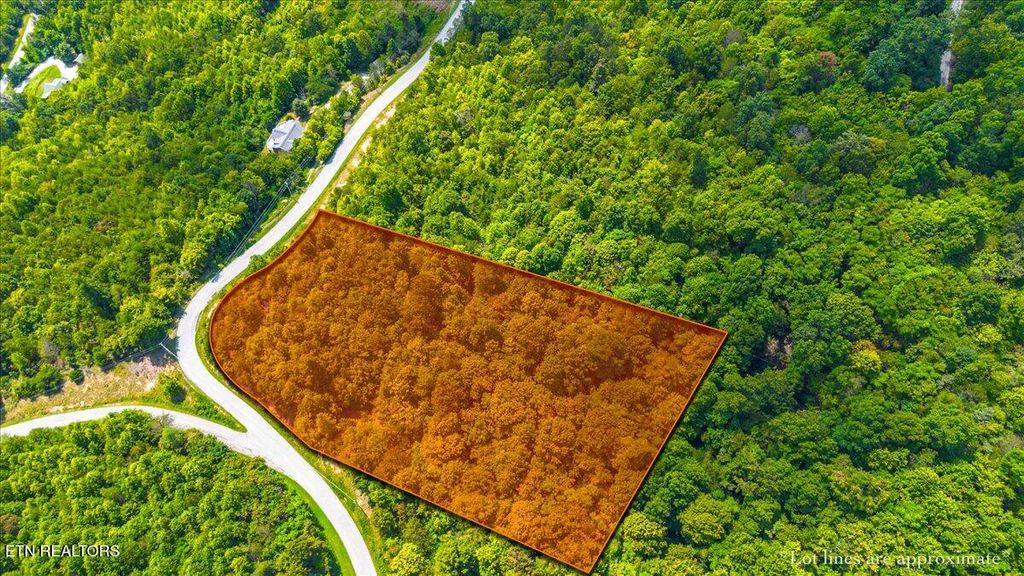 Photo of Lot 673 Chimney Rock Rd, New Tazewell, TN 37825 (MLS # 1310843)