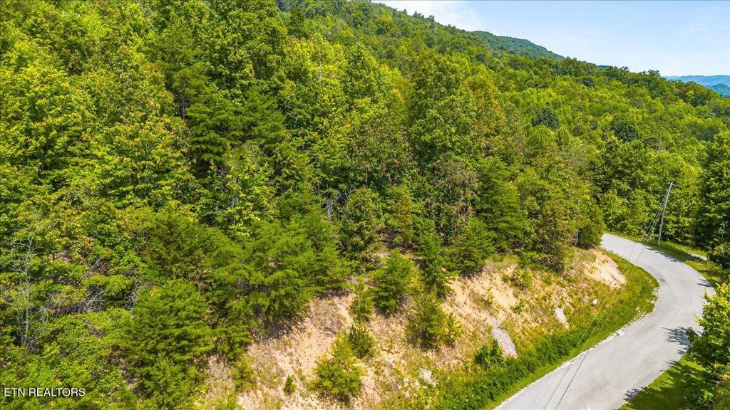 Photo of Lot 673 Chimney Rock Rd, New Tazewell, TN 37825 (MLS # 1310843)
