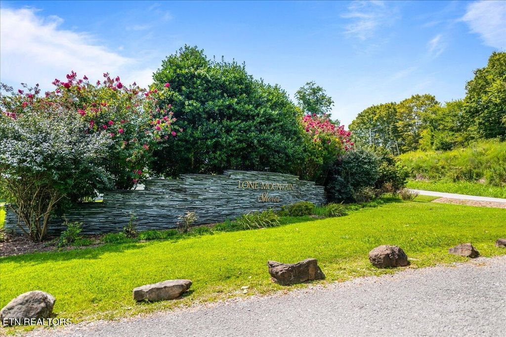 Photo of Lot 673 Chimney Rock Rd, New Tazewell, TN 37825 (MLS # 1310843)