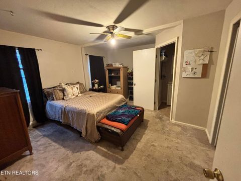 Tiny photo for 204 Virginia St, Kingston, TN 37763 (MLS # 1329044)