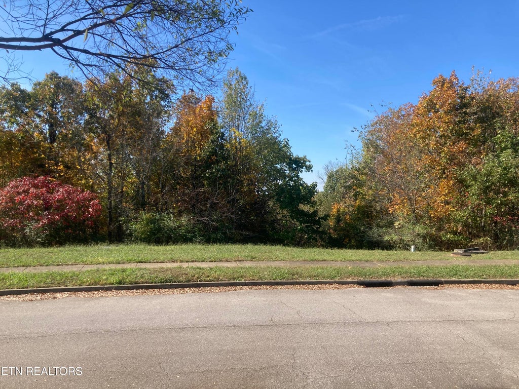 Photo of 12793 Highwick Circle, Knoxville, TN 37934 (MLS # 1281489)