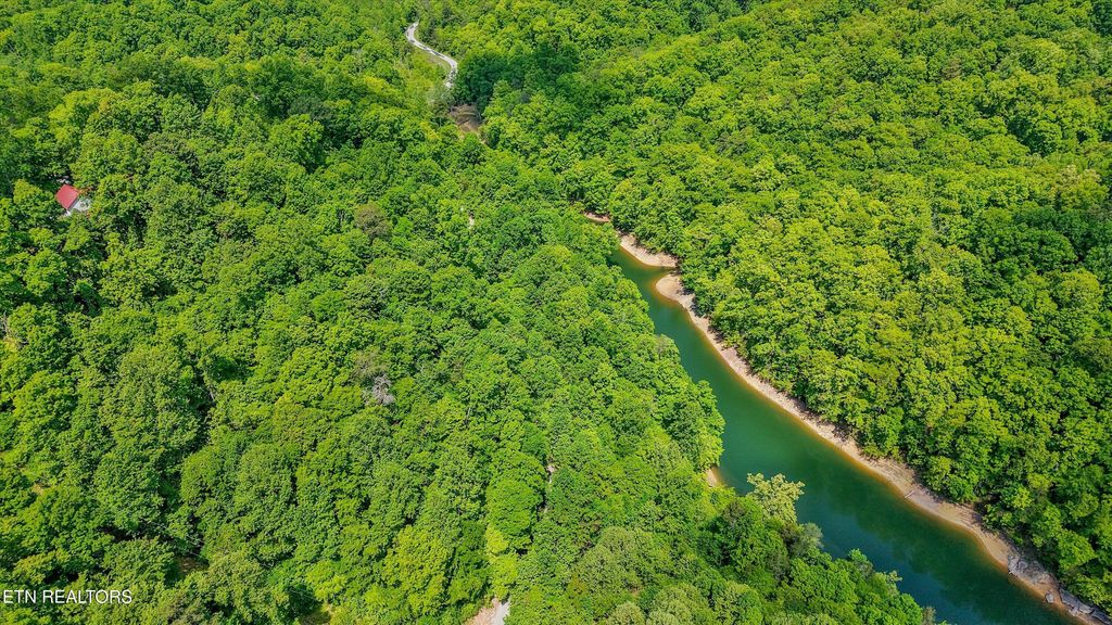 Photo of 12 Mountain Shores Rd, New Tazewell, TN 37825 (MLS # 1341043)