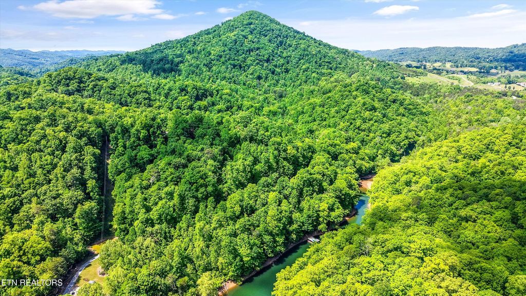 Photo of 12 Mountain Shores Rd, New Tazewell, TN 37825 (MLS # 1341043)