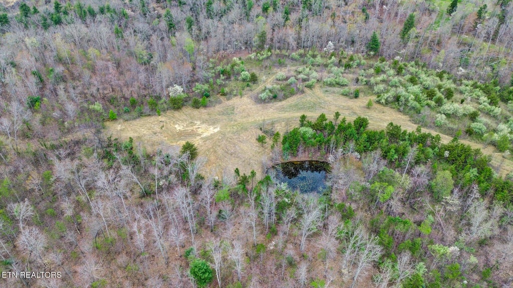 Photo of 0 Grassy Knob Rd, Robbins, TN 37852 (MLS # 1335238)