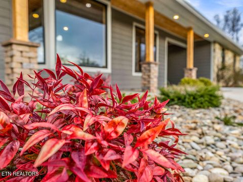 Tiny photo for 1271 Whitaker Rd, New Market, TN 37820 (MLS # 1323698)