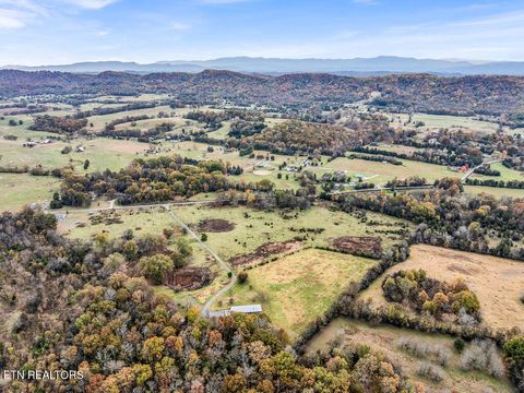 Tiny photo for 1271 Whitaker Rd, New Market, TN 37820 (MLS # 1323698)